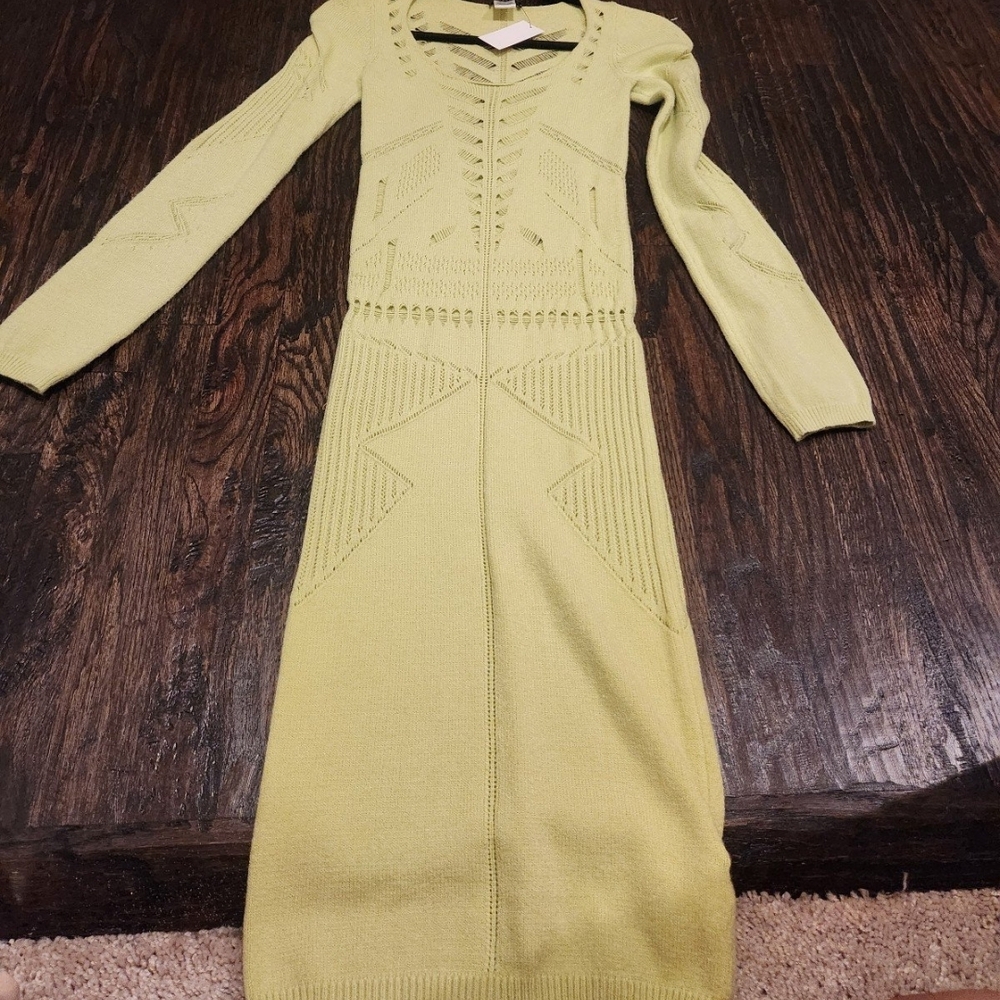 Venus Sweater Dress With Liner